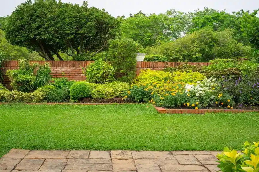 Landscape Design